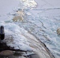 Руски учени доказаха съществуването на два континента, образували Арктика