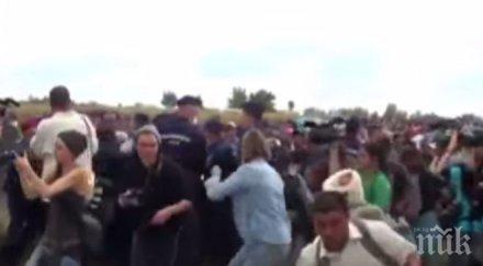 унгарска операторка уволнена заради гавра бежанец видео