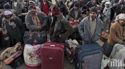 дни мюнхен пристигнали 000 мигранти