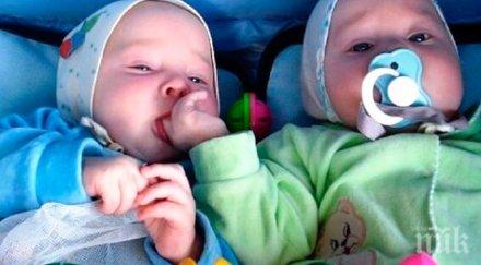 смешни снимки подарят усмивка лицето можеш пропуснеш колекция