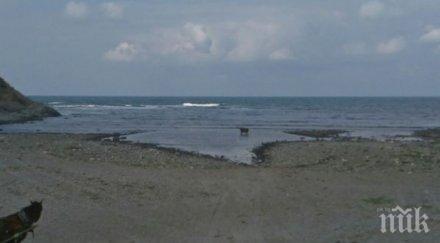 откриха невзривен боеприпас морето варна