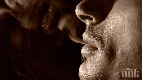 Последствията от мозъчен удар могат да помогнат да откажем цигарите