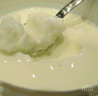 Фестивал на киселото мляко започва в Момчиловци