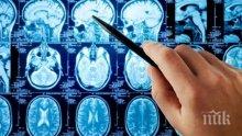 Какво разширява мозъчните съдове