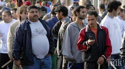 искат бежански статут македонските роми европа