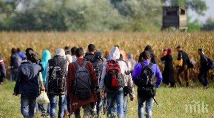 балканската телевизия излъчи документален филм мигрантите българия