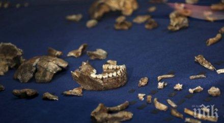 откриха нов човекоподобен вид снимки