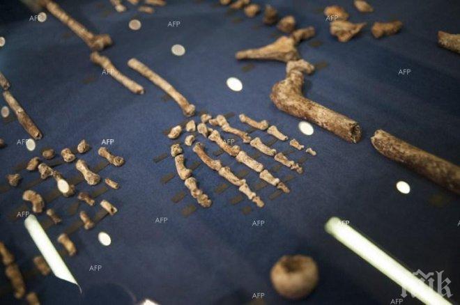 Намериха странни скелети на човекоподобни в погребална камера