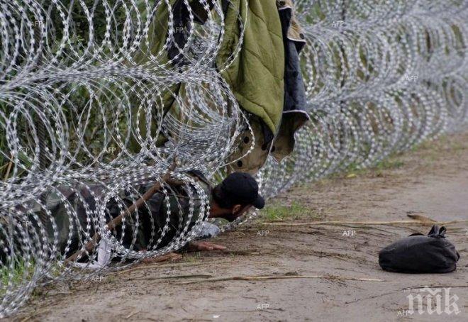 Македония също може да вдигне ограда срещу бежанците 