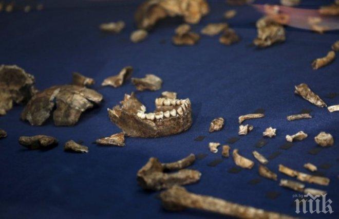 Откриха нов човекоподобен вид (снимки)
