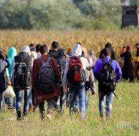 В Копенхаген и Лондон подкрепят приема на бежанци