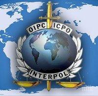 Интерпол и Европол поискаха международна среща заради мигрантите