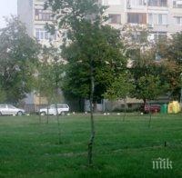 Нова поливна система за парк Акациева горичка в пловдивския район 