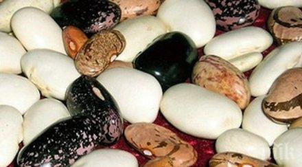 продават боб египет китай български