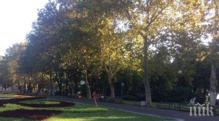 мерят лъчението входа морската градина