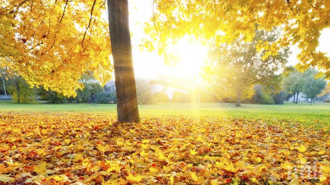 Ура! Новата учебна година започва със слънце 