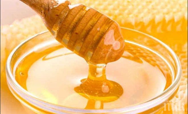 Пчелари се събират на Фестивал на меда в София