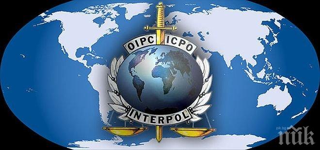 Интерпол и Европол поискаха международна среща заради мигрантите