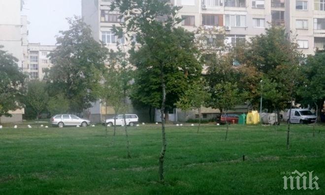 Нова поливна система за парк Акациева горичка в пловдивския район Западен