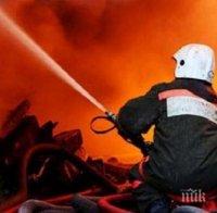 Огнен ад! Тонове зърно и домашни животни изгоряха при пожар в село край Разград