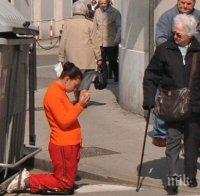 Просякиня менте припада за шоколад и кола