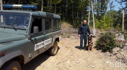 помощта граничарското куче ирк заловени нелегални имигранти