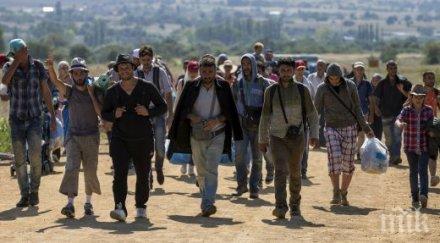 оон унгария спряла регистрирането имигранти директно кара австрийската граница