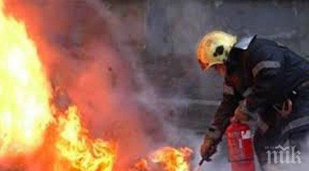 ужас жена запали колата видинско