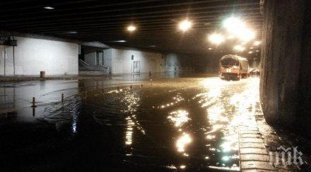 ромите пловдив нов бизнес броиш лева вадят гьола