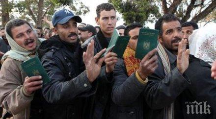 стотици сирийци блокирали сръбско унгарската граница