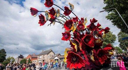 никога повярваш кажа направени уникални скулптури