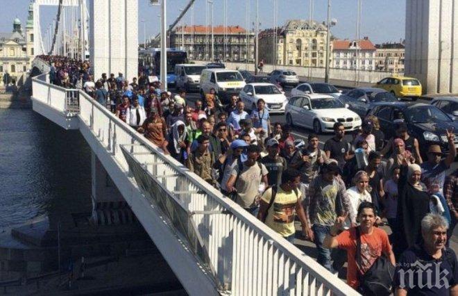 Над 200 000 бежанци влязли в Унгария