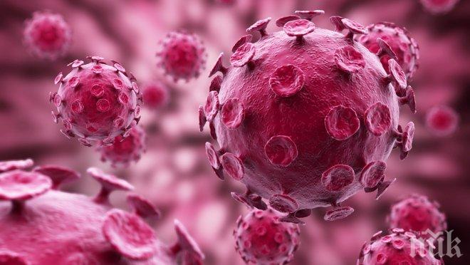 Японски учени направиха мозъчна тъкан прозрачна със сорбитол