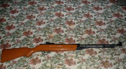 охранител гръмна пушка