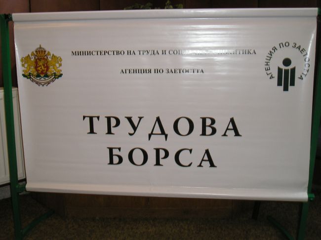 ШОК: Всеки трети младеж без работа