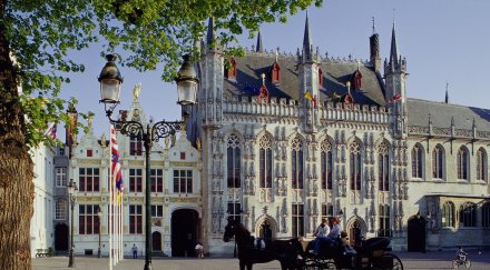 българи водят незаконни социални помощи белгия