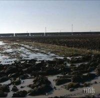 Буря унищожи хиляди декара продукция
