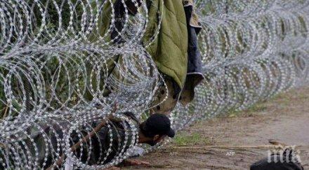 унгарски съд пръв път призна мигрант виновен незаконно пресичане унгарско сръбската граница