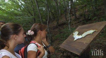 кърджали сдоби скъпарски парк