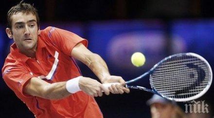 чилич пропусне двубоя бразилия купа дейвис