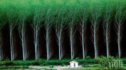 снимки доказват човек една песъчинка света