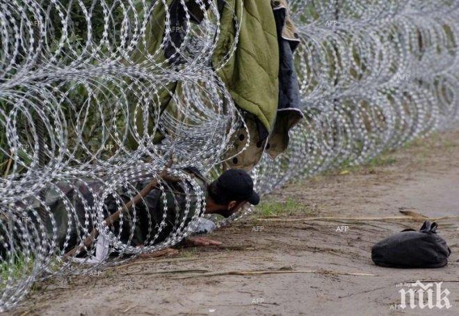 Унгарски съд за пръв път призна мигрант за виновен в незаконно пресичане на унгарско-сръбската граница
