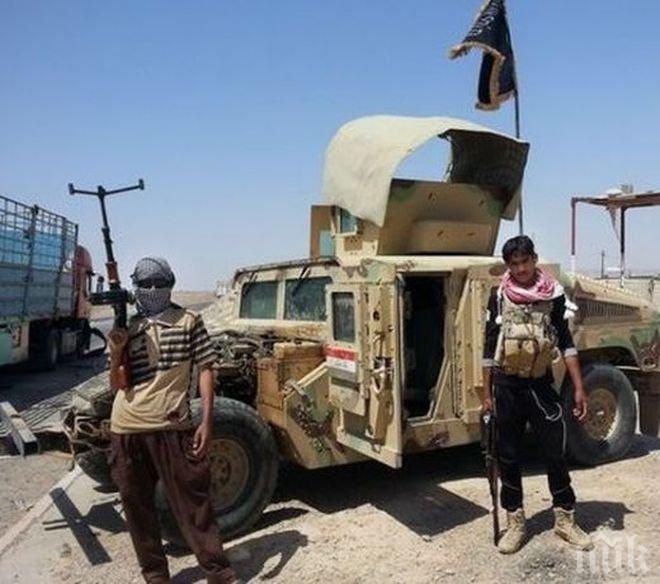 В Сирия ИД обучава терористи за удари в Европа  