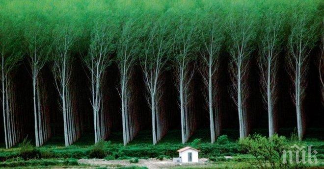 10 снимки които доказват, че човек – това е само една песъчинка в света!