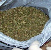 Мъж от Монтанско къта канабис в „Мерцедес“-а си