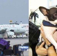 Пилот пренасочи курса на самолет, за да спаси живота на едно куче (снимки и видео)