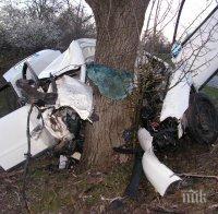18-годишен джигит заби колата си в крайпътно дърво 
