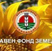 ДФЗ преведе над 1.2 млн. лева за развитие на рибарския сектор