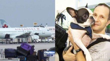 пилот пренасочи курса самолет спаси живота едно куче снимки видео