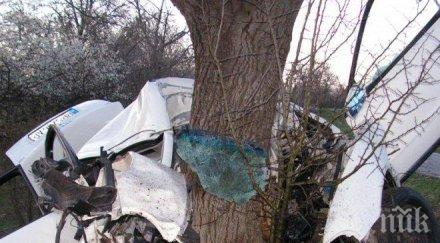 тежък удар благоевград двама младежи забиха дърво